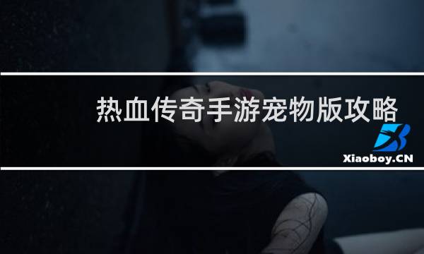 热血传奇手游宠物版攻略