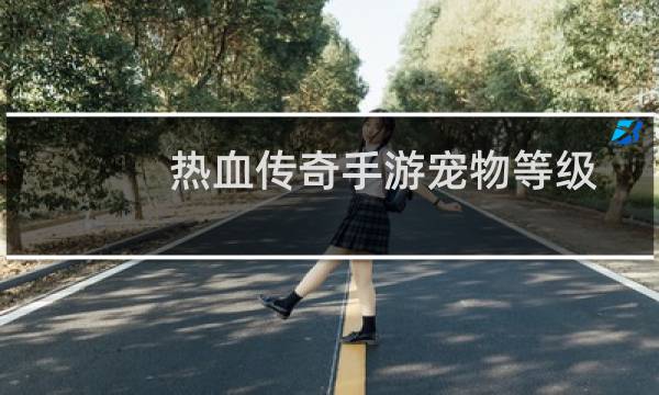 热血传奇手游宠物等级