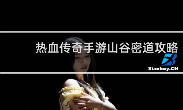 热血传奇手游山谷密道攻略