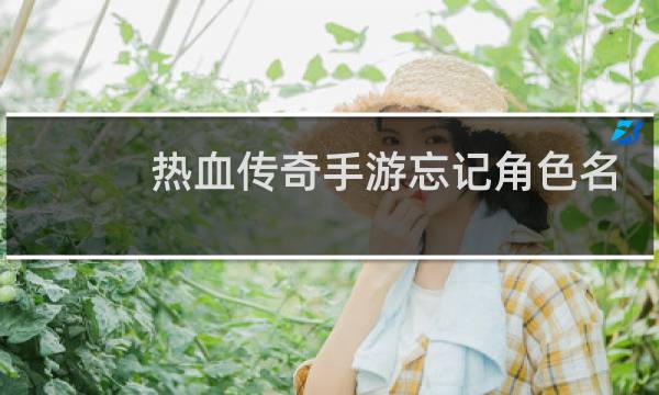 热血传奇手游忘记角色名