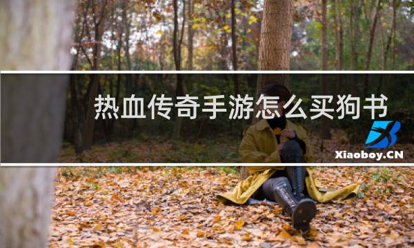 热血传奇手游怎么买狗书