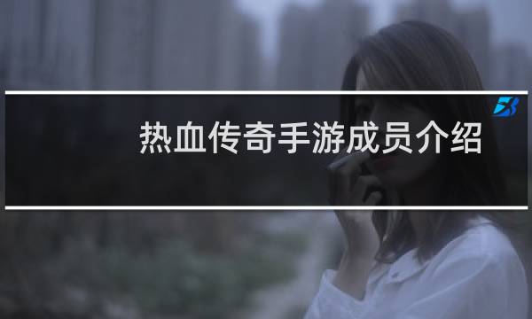 热血传奇手游成员介绍