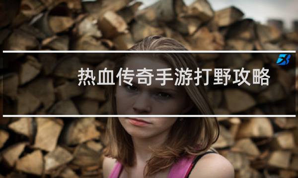 热血传奇手游打野攻略