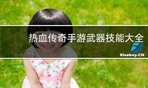热血传奇手游武器技能大全