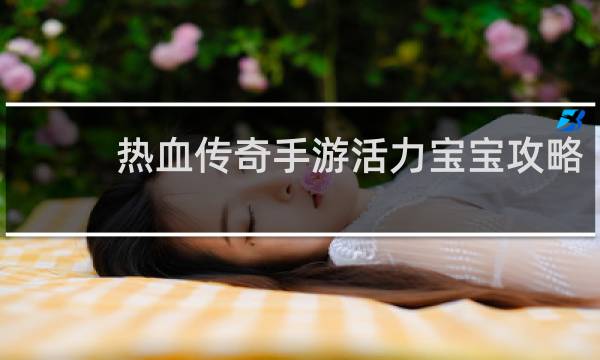 热血传奇手游活力宝宝攻略