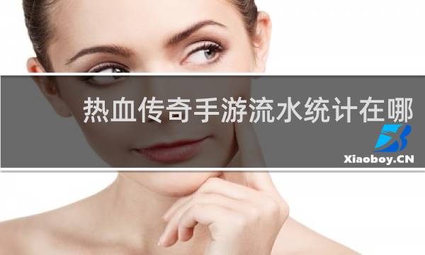 热血传奇手游流水统计在哪