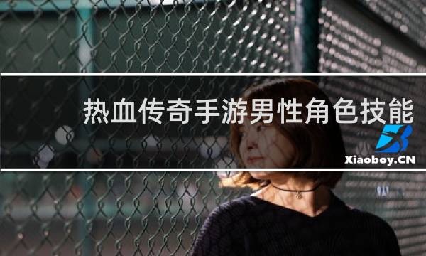 热血传奇手游男性角色技能