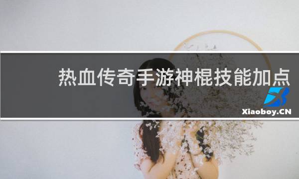 热血传奇手游神棍技能加点