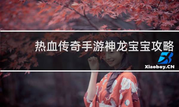 热血传奇手游神龙宝宝攻略