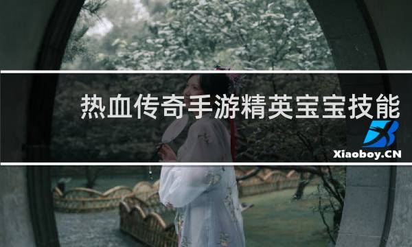 热血传奇手游精英宝宝技能
