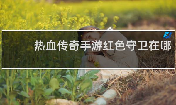 热血传奇手游红色守卫在哪