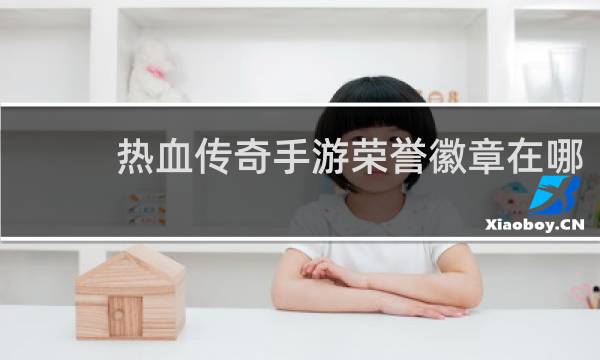热血传奇手游荣誉徽章在哪
