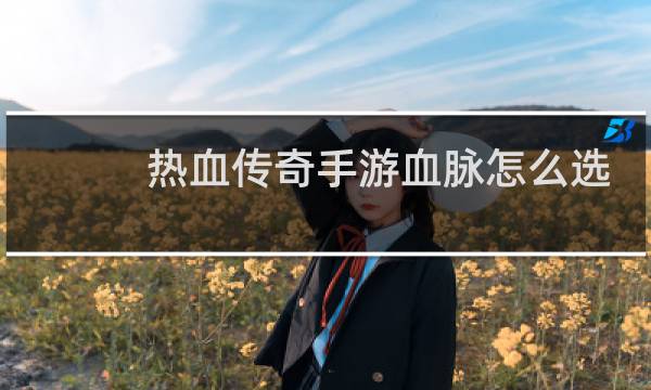 热血传奇手游血脉怎么选