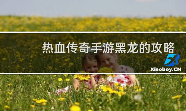 热血传奇手游黑龙的攻略
