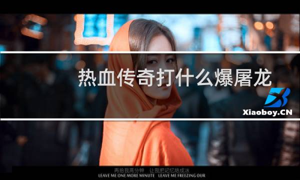 热血传奇打什么爆屠龙