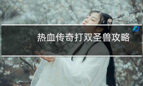 热血传奇打双圣兽攻略