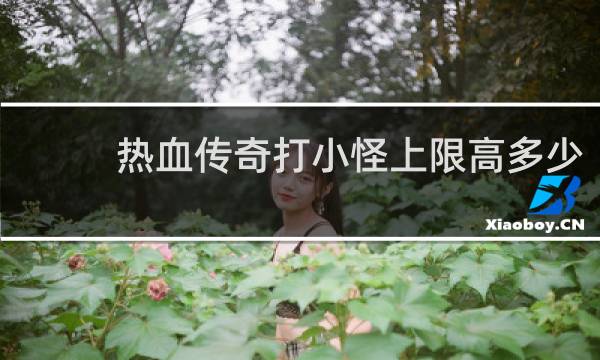 热血传奇打小怪上限高多少