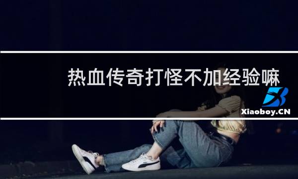 热血传奇打怪不加经验嘛