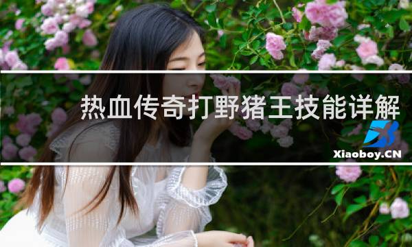 热血传奇打野猪王技能详解
