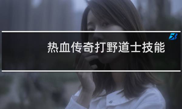 热血传奇打野道士技能