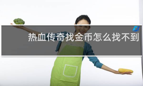 热血传奇找金币怎么找不到