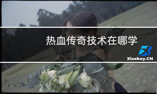 热血传奇技术在哪学