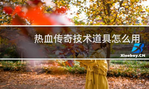 热血传奇技术道具怎么用