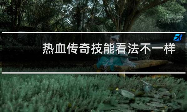 热血传奇技能看法不一样