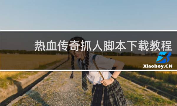 热血传奇抓人脚本下载教程