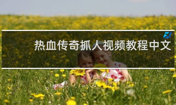 热血传奇抓人视频教程中文