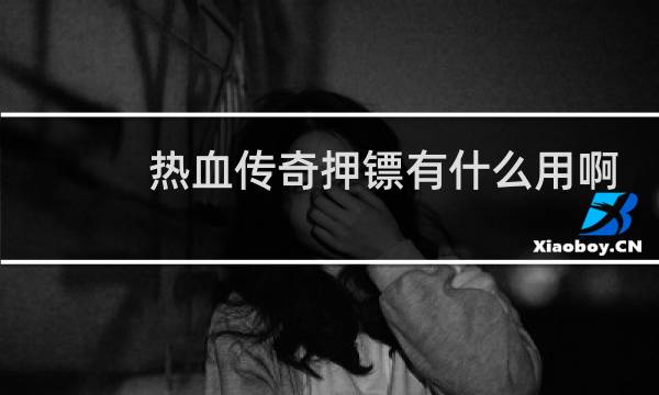 热血传奇押镖有什么用啊
