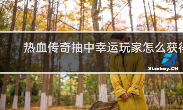 热血传奇抽中幸运玩家怎么获得