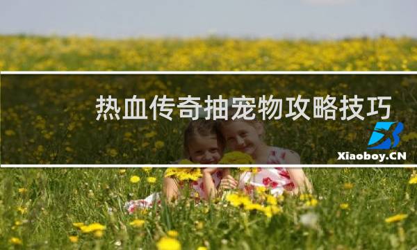 热血传奇抽宠物攻略技巧