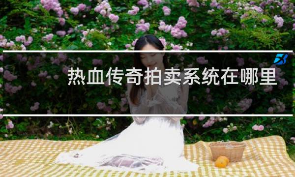 热血传奇拍卖系统在哪里