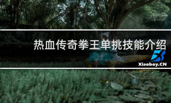 热血传奇拳王单挑技能介绍