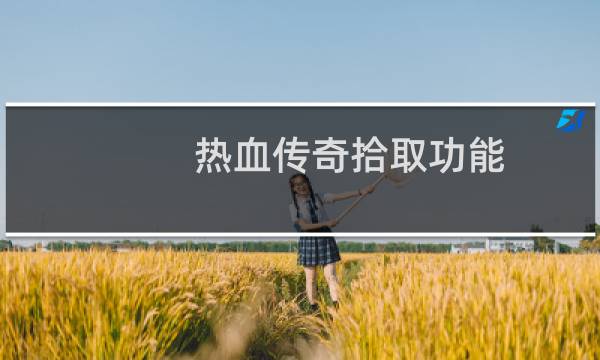 热血传奇拾取功能