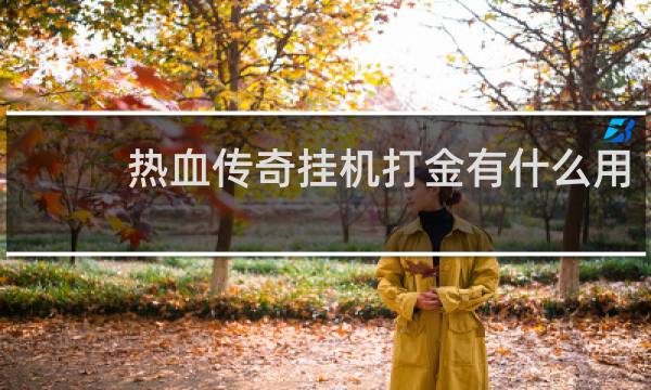 热血传奇挂机打金有什么用