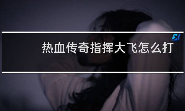 热血传奇指挥大飞怎么打