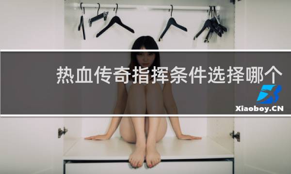 热血传奇指挥条件选择哪个