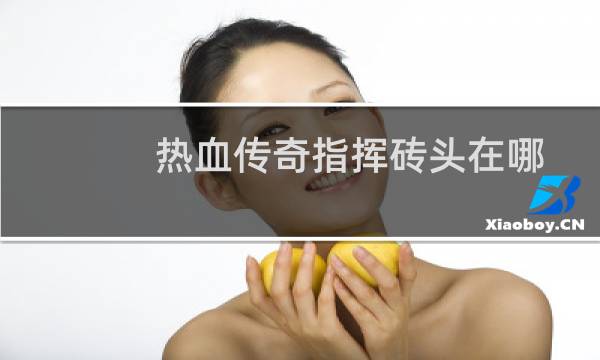 热血传奇指挥砖头在哪