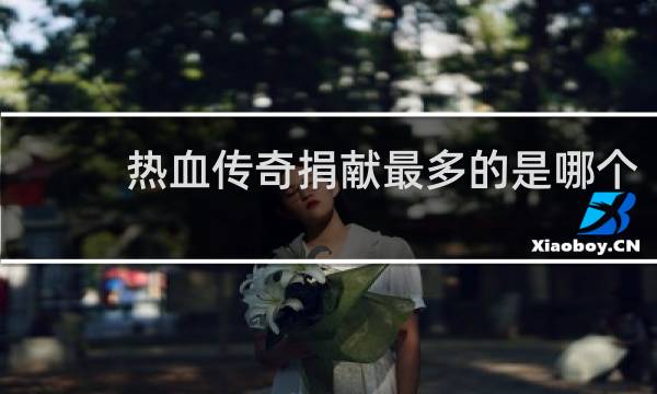 热血传奇捐献最多的是哪个