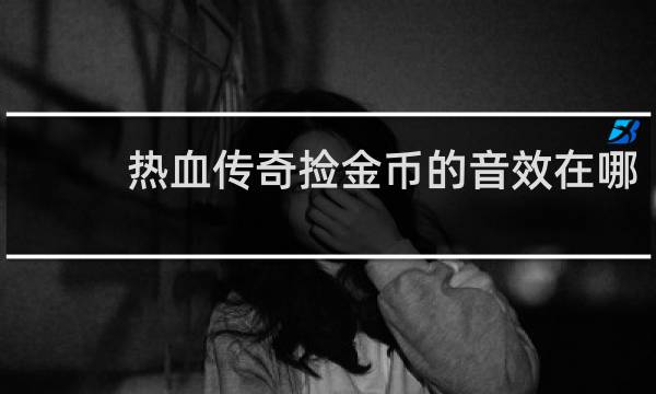 热血传奇捡金币的音效在哪