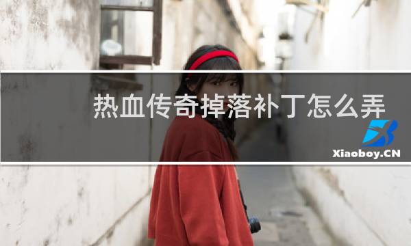 热血传奇掉落补丁怎么弄