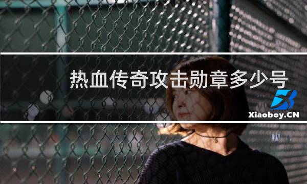 热血传奇攻击勋章多少号