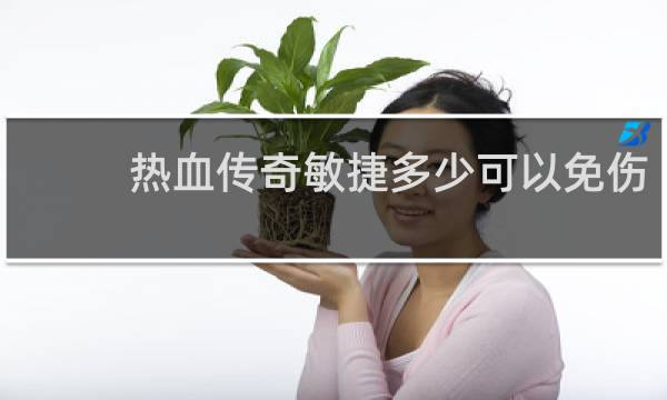 热血传奇敏捷多少可以免伤