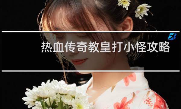 热血传奇教皇打小怪攻略