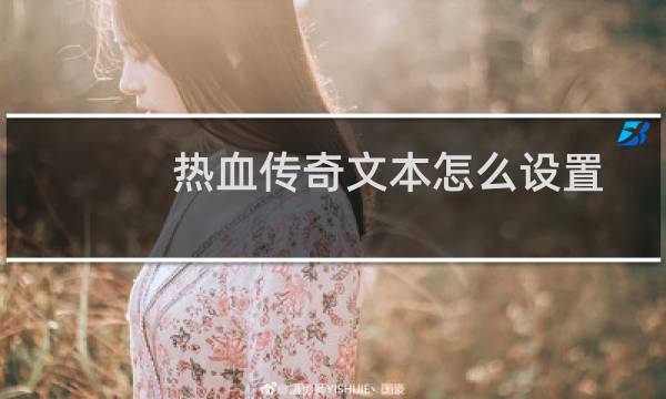 热血传奇文本怎么设置