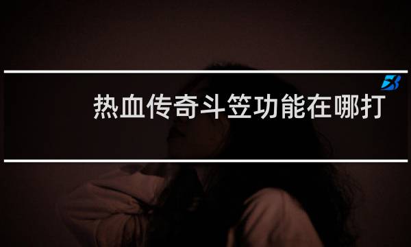 热血传奇斗笠功能在哪打