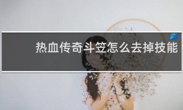热血传奇斗笠怎么去掉技能