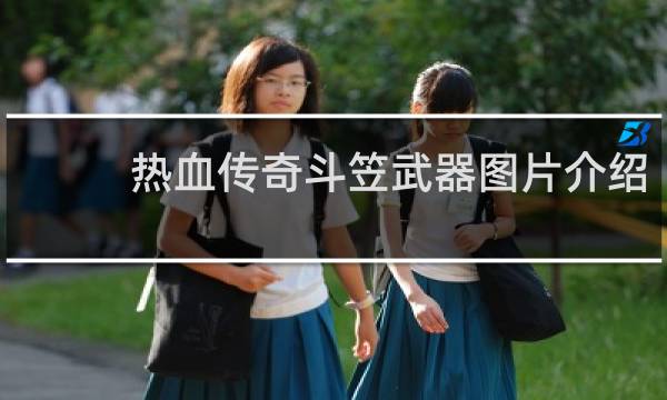 热血传奇斗笠武器图片介绍